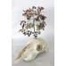 Chakra Balacing Skull Tree of Life 300 Chip